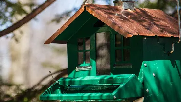 Green birdfeeder