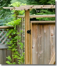 Wooden gate with hinges