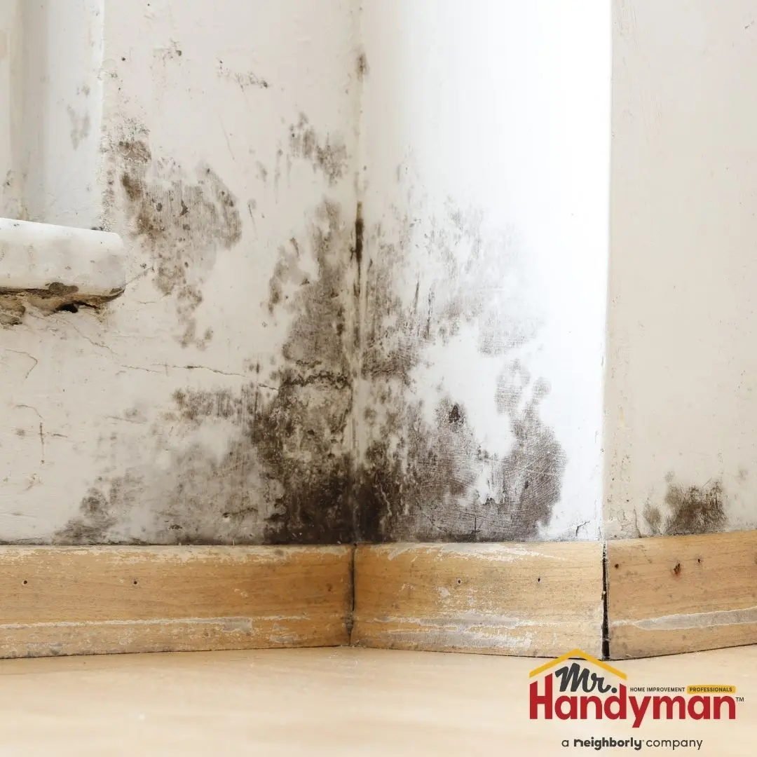 Gutter and drainage repair