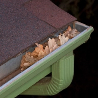 gutter filled with leaves gutter filled with leaves.