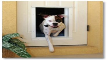 Pet door.