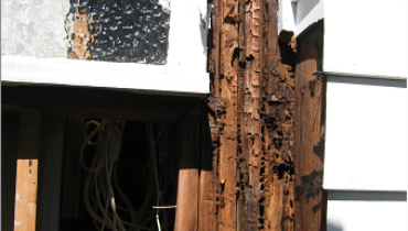 Rotten wooden window