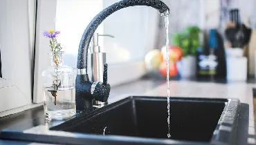 Kitchen sink.