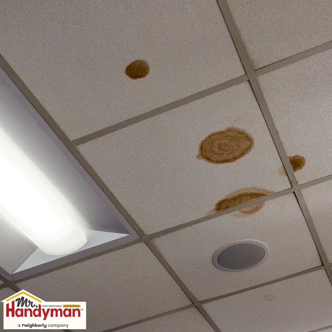 Commercial Ceiling Tile Replacement 2