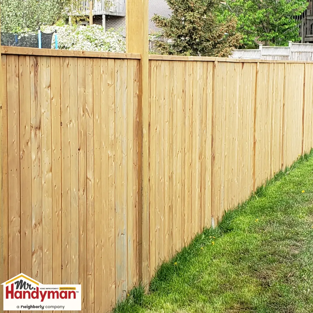 Fence, Gate, and Exterior Trim Repair 4