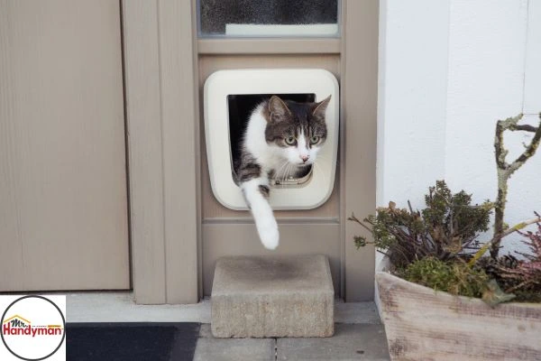 Dog using weatherproof pet door installed by Mr. Handyman of Northern St Joseph and Elkhart Counties