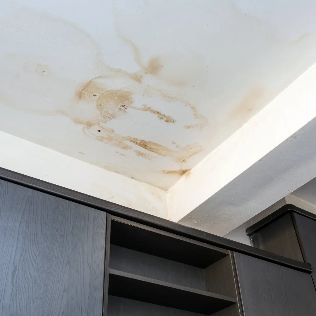 Commercial Water Damage Prevention 2